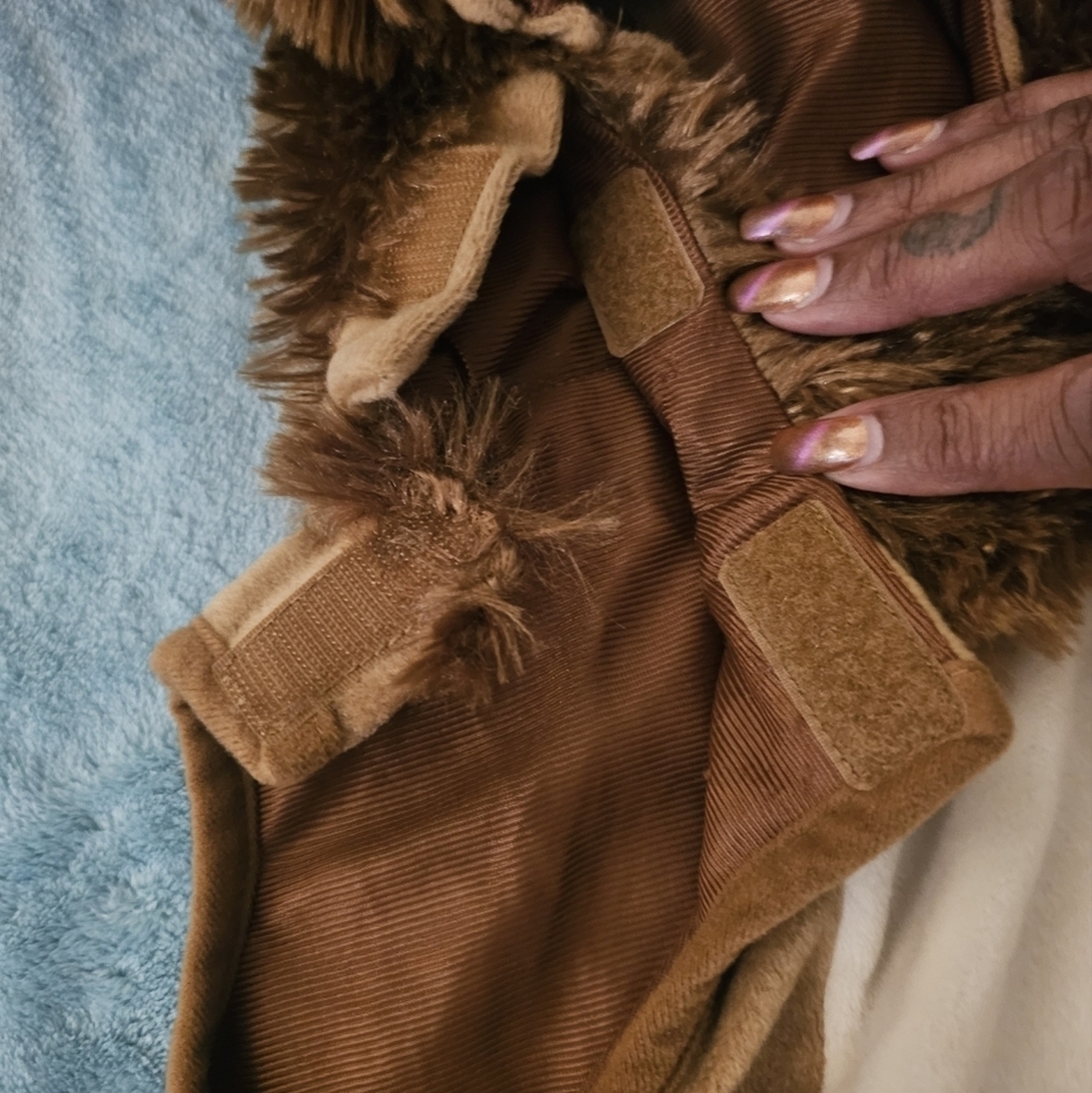 Adorable Lion Costume for Kids - Picture 3 of 7